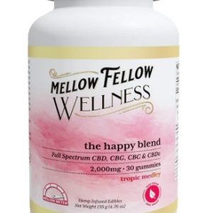 Mellow Fellow - Wellness 2,000mg CBD/CBG/CBC/CBDv Gummies - The Happy Blend
