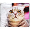 Pulsar Fleece Throw Blanket - Image 32