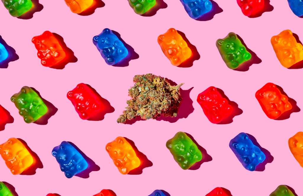 marijuana gummy bears