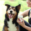 CBD Hip and Joint Dog Soft Chews For Enhanced Mobility  - 600MG, 30ct - Image 3