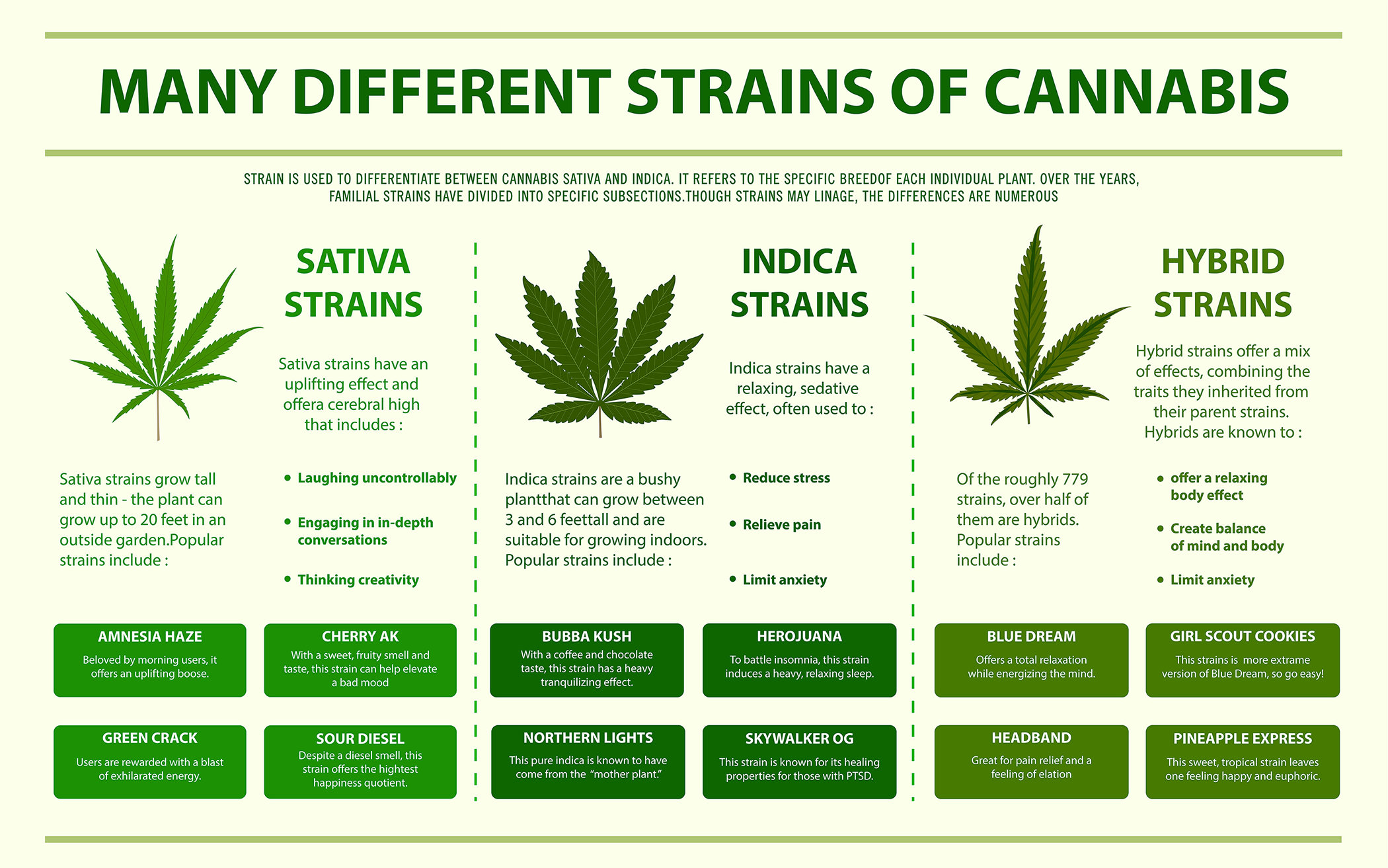 different types of cannabis strains