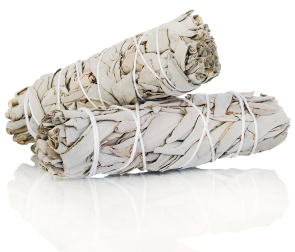 White Sage Smudge Stick 4" Bundle