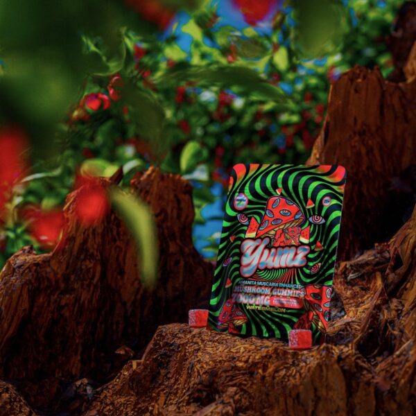 YUMZ - Watermelon ( Magic Nootropic Gummies ) - Image 6