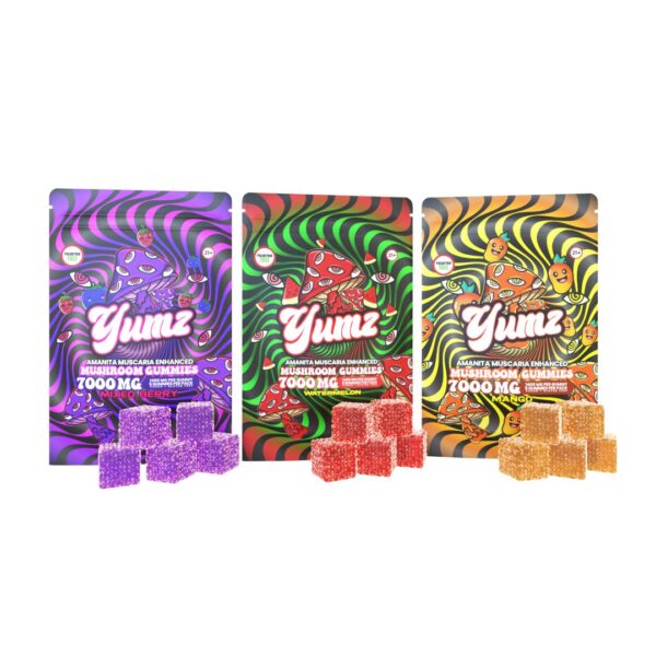 YUMZ - Magic Nootropic Gummies ( Bundle ) - Image 4