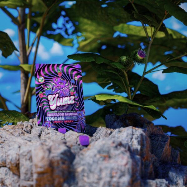 YUMZ - Mixed Berry ( Magic Nootropic Gummies ) - Image 5