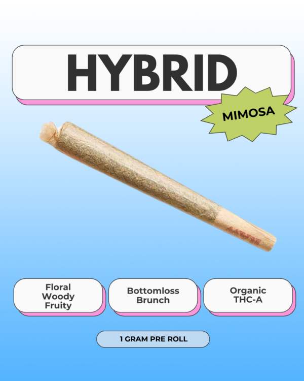 Go Easy THC-A ~ Apricot Mimosa - Image 2