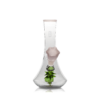 HEMPER Flower Vase Bong - Image 9