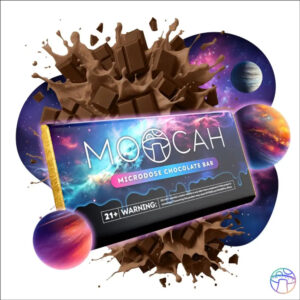 Micro-Dose Mushroom Chocolates | 6000mg Per Bar | Natural & Lab-Tested