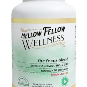 MellowFellowTheFocusBlend